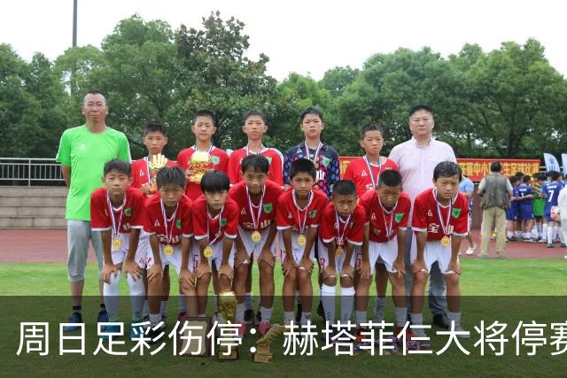 周日足彩伤停：赫塔菲仨大将停赛 热刺伤病满营